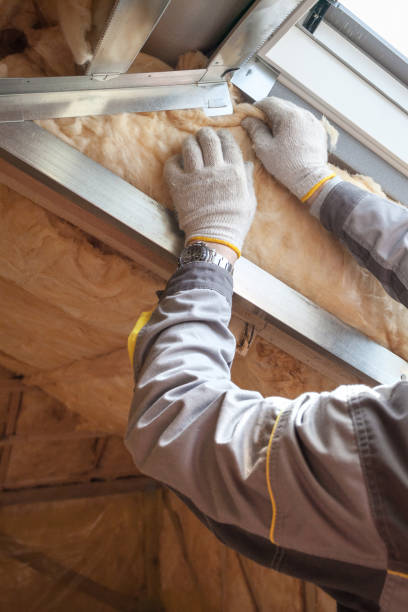 Best Blown-in Insulation in Gaffney, SC