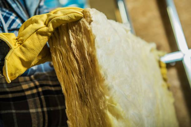 Best Insulation Maintenance and Repair in Gaffney, SC